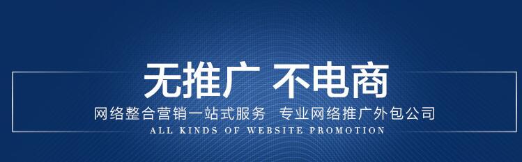 網(wǎng)絡(luò)營(yíng)銷－無(wú)推廣不電商