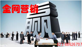 全網(wǎng)營銷